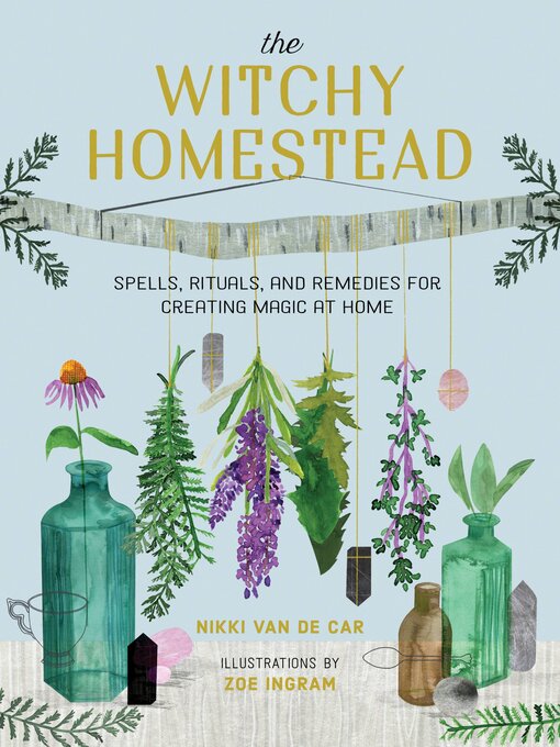 Title details for The Witchy Homestead by Nikki Van De Car - Wait list
